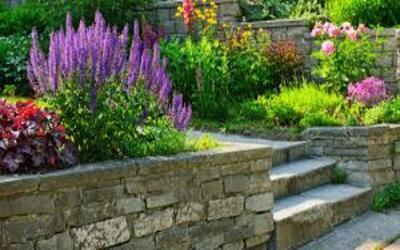 Landscaping ideas for backyards in Amarillo