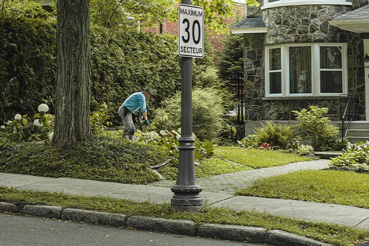 side walk front entry planting