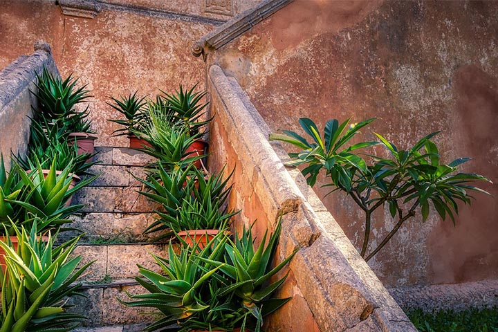 inlaid stone steps