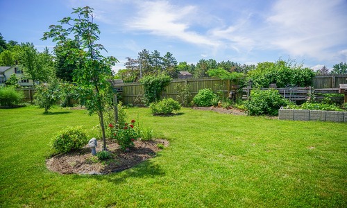 7 Trendy Tallahassee Backyard Ideas (Rated by Homeowners)