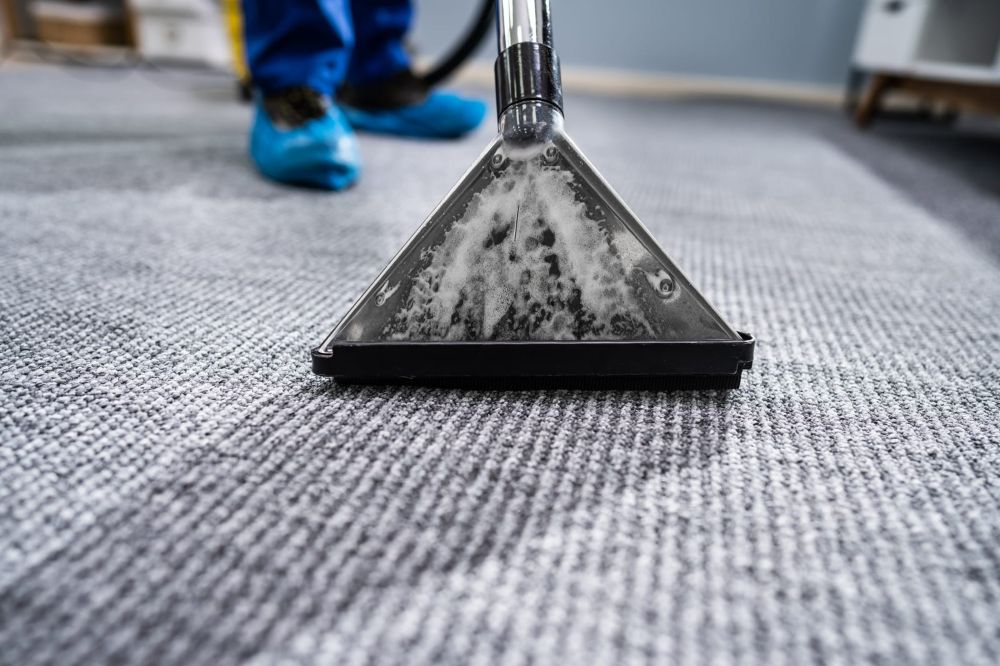 top Scottsdale carpet cleaning companies