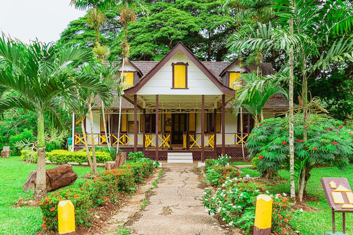 front yard tropical plants