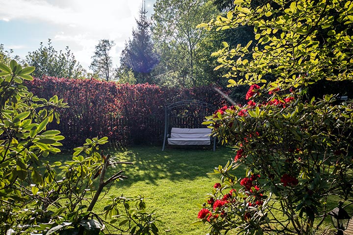 Outdoor elegant garden