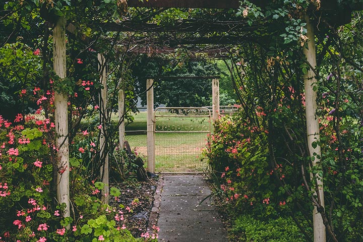 outdoor space garden