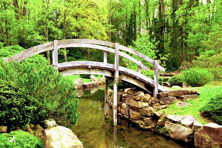 elegant garden outdoor