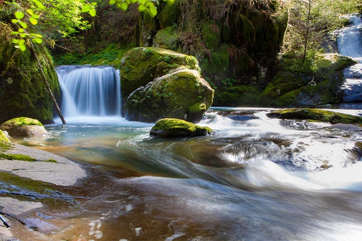 backyard waterfall