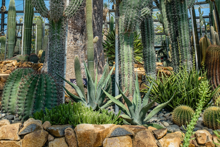 rock accents landscape ideas