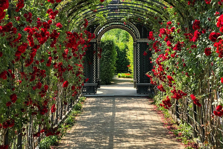 create stunning pathway garden