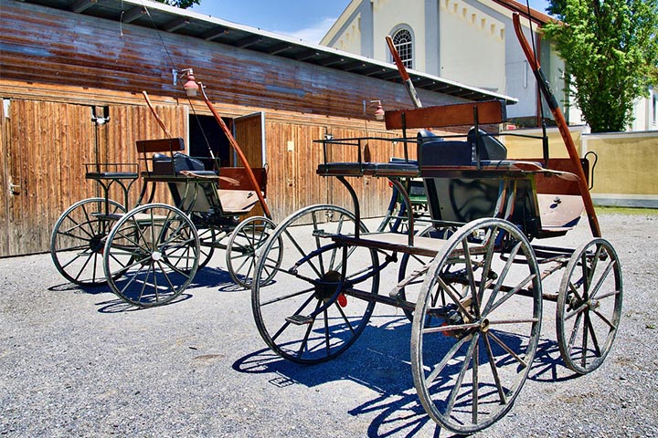 unique garden with horse drawn wagon