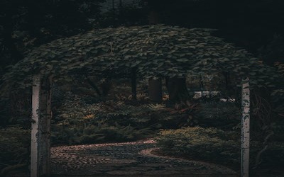 Charlotte Backyard Landscaping Ideas