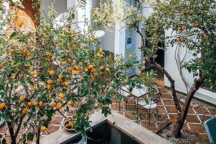 water garden patio