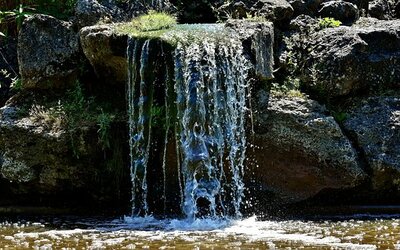 Lincoln Backyard Landscaping Ideas