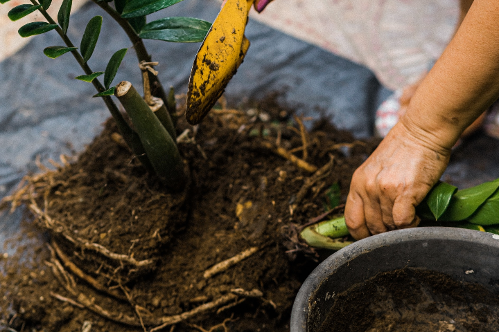 guide for diy weed barrier