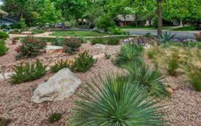 Landscaping ideas for backyards in Knoxville