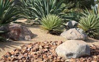 backyard ideas for landscaping