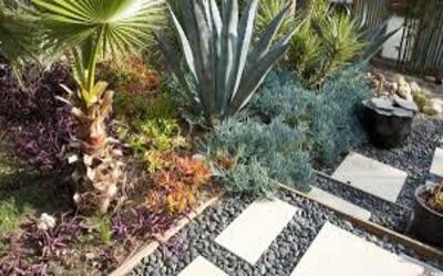Corpus Christi Backyard Landscaping Ideas