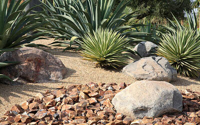 Oklahoma City Backyard Landscaping Ideas